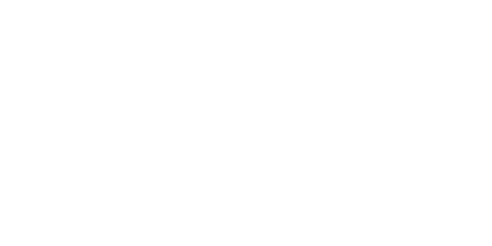 Lizrome